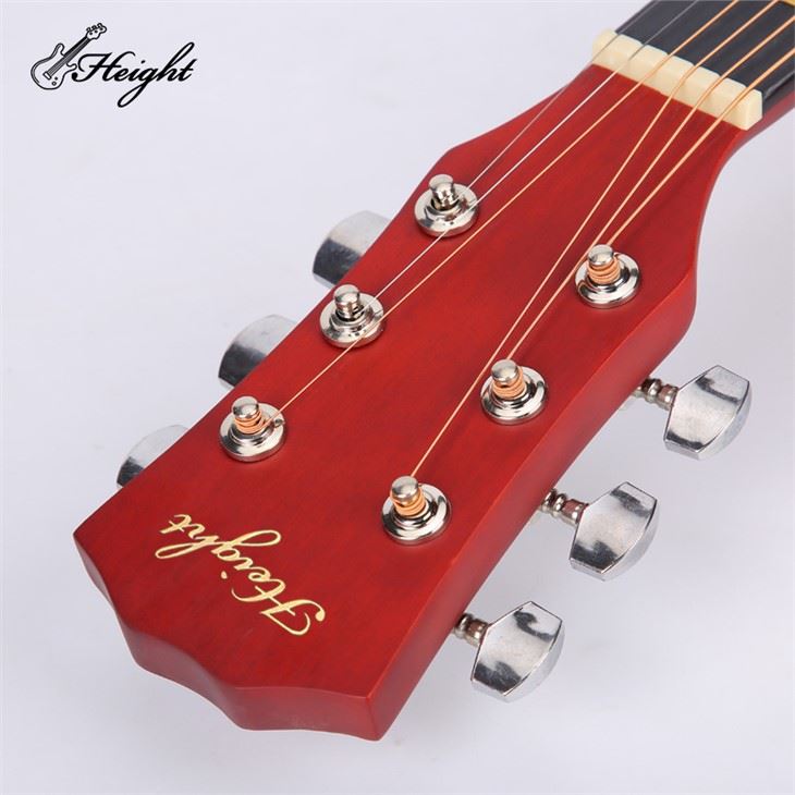 Ashton Drawing Binding Acoustic Guitar